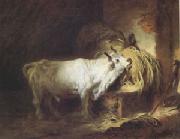 Jean Honore Fragonard The White Bull (mk05) Spain oil painting artist
